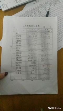 财务管理专业学生实习初体验 工商注册的实践与感悟