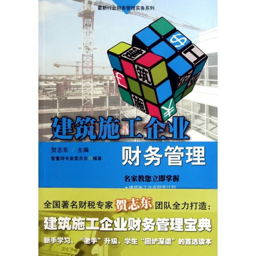工程财务管理 确保项目成功的财务基石
